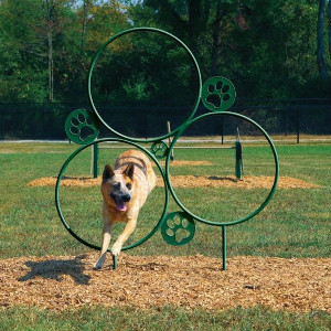 Dog Park Equipment