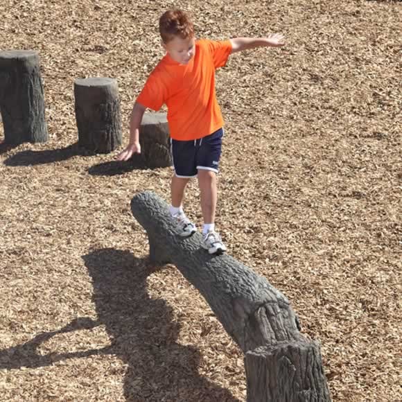 Fallen Tree Balance Beam, 8'