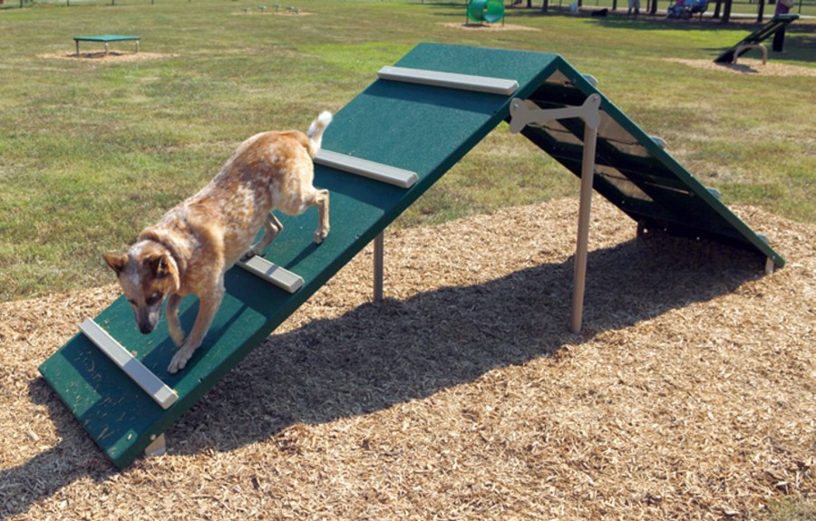 King of the Hill Dog Park Equipment American Playground Company