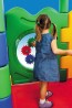 Gear Panel - American Playground Company